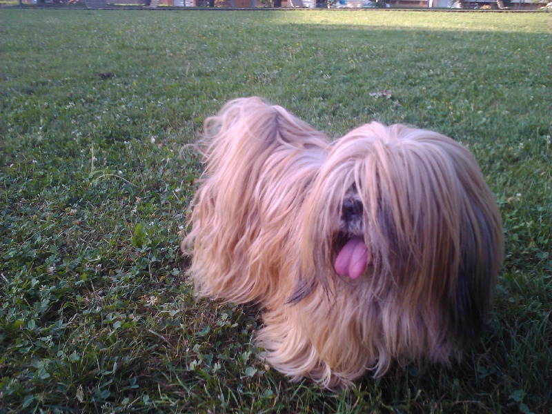 Abba du domaine des marrais